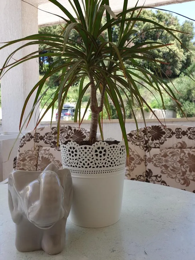 Apartman Apartmani I Sobe Jusic Rab Town
